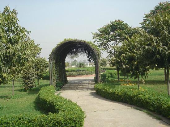 Tau Devi Lal Bio Diversity Park